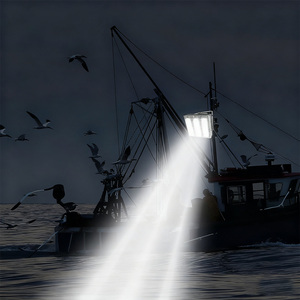 Lumière d'attraction de poissons professionnelle, LED haute puissance, super lumineuse, pour bateau de pêche, pêche de nuit, équipement d'éclairage marin - Product Image 2