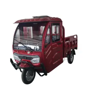 Saige EEC COC three wheel motorcycle rickshaw tricycle Stong Euro market e cargo tricycle for delivery