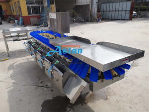 Máquina clasificadora de peso de mariscos de tipo rotativo Máquina clasificadora de peso de pescado de sardina de alta velocidad de 6 grados - Product Image 3