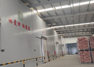 价格优惠5厘米新鲜白蒜批发，包装完美，质量高 & ISO9001热卖普通白蒜出口 - Product Image 3