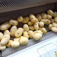 Automatische aardappel schilmachine, commerciële industriële wasmachine en schiller voor groenten, yam, taro en wortel