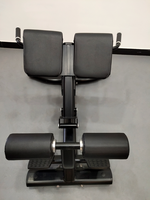 Banc d'extension du dos de gymnastique pour hommes Chaise romaine