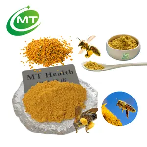 Best Quality 100%Pure Natural Honey Bee Pollen Powder ISO Factory Bulk Bee Pollen Powder