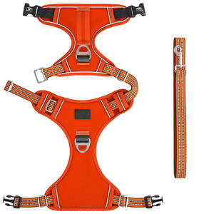 カスタムナイロン製ファッションスポーツパッド入り反射犬用ハーネスとリードセット（大型犬用クイックリリース付き） - Product Image 2