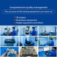 Solution d'usinage de haute précision robuste, inspection de qualité à 100 %, fabrication CAD/CAM en acier allié et laiton, finition polie brillante