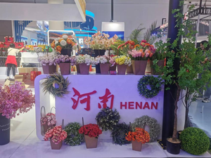 Plante artificielle verte en flocage de <span class=keywords><strong>sauge</strong></span>, herbe de lapin, vente en gros, source d'usine, fleurs artificielles en gros - Product Image 5