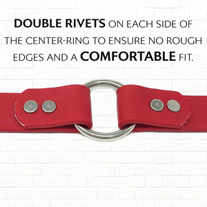 NiBao 도매 조정 가능한 헤비 듀티 더블 버클 내구성 튼튼한 개 애완 동물 목걸이 - Product Image 3