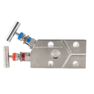 Valvola misuratore <span class=keywords><strong>di</strong></span> pressione collettore <span class=keywords><strong>di</strong></span> <span class=keywords><strong>sicurezza</strong></span> a due <span class=keywords><strong>valvole</strong></span> in acciaio inossidabile ad alta pressione - Product Image 1