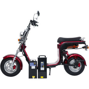 Citycoco Chopper électrique 4000W en stock 2026 pour adultes, scooter moto avec cadre moderne, certifié COC, Citycoco 2000w - Product Image 1