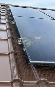 <span class=keywords><strong>Bird</strong></span> Spikes pannelli solari-1.5mm 1/2x 1/2 pollici foro 4 inchx100ft con Scatterbird per il controllo dei parassiti-maglia deterrente per uccelli - Product Image 4