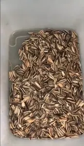 Selezionatrice di semi di girasole selezionatrice di colori di semi di girasole per semi di guscio di semi in bianco e nero