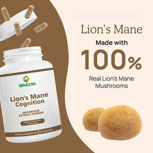 Capsules de complément alimentaire Nootropique Crinière de Lion OEM/ODM, pour renforcer la mémoire, la clarté mentale, l'énergie, le bien-être cérébral et la défense immunitaire - Product Image 4
