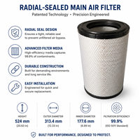   Filtre à air principal à joint radial P777868 P777869 pour excavatrice Zoomlion ZE370, pièces de rechange pour engins de construction SANY