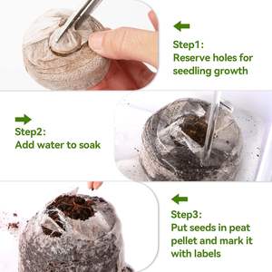 300 pièces 30mm fibre compressée bloc <span class=keywords><strong>de</strong></span> sol <span class=keywords><strong>de</strong></span> jardin 300 étiquettes gousses <span class=keywords><strong>de</strong></span> plantes en vrac pour herbes fleurs bouchons <span class=keywords><strong>de</strong></span> départ pour la plantation - Product Image 6