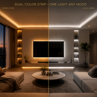 Bande LED flexible à double température de couleur (CCT) SMD2835, 120 LED/m, 240 LED/m, 10 mm, 12V/24V, 2700K-6500K, certifiée BIS CE, profil d'éclairage linéaire