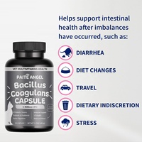 6 milliards de CFU, 8 souches de probiotiques, prébiotiques, postbiotiques, améliore la digestion, le système immunitaire, capsules de Bacillus Coagulans pour chiens