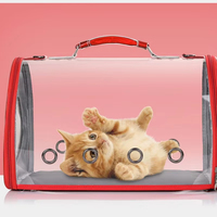 Sac de transport transparent pour chat résistant aux rayures, sac de voyage durable pour animaux de compagnie avec coussin moelleux