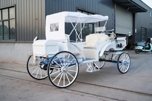 Carrosses de Mariage Électriques Spéciaux pour Visites Touristiques, Prix Usine, Transport de Luxe, à Vendre - Product Image 2