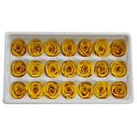 Vente en gros de têtes de roses éternelles préservées de 2-3 cm, fleurs naturelles réelles pour la fête des mères, la Saint-Valentin, le bricolage et la décoration de boîtes cadeaux