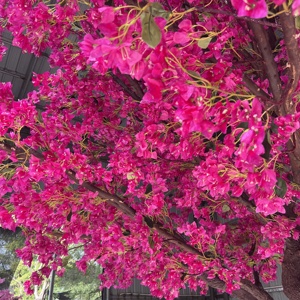 Vente flash : <span class=keywords><strong>Arbre</strong></span> artificiel <span class=keywords><strong>en</strong></span> <span class=keywords><strong>fleurs</strong></span> de bougainvillier <span class=keywords><strong>rose</strong></span> foncé, faux cerisier <span class=keywords><strong>en</strong></span> <span class=keywords><strong>fleurs</strong></span> pour la décoration de restaurant et de mariage - Product Image 6