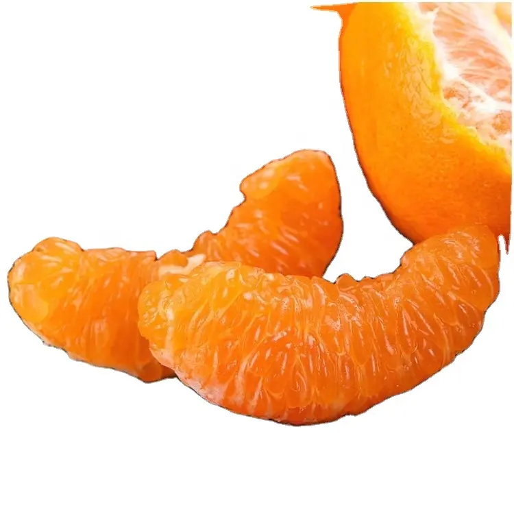 Cítricos frescos Navel naranjas mandarinas frutas al por mayor Top China Citrus mandarina naranja