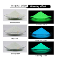 Poudre luminescente d'aluminate de strontium de longue durée Pigment néon à haute luminosité lueur dans le Pigment foncé pour le moulage en plastique