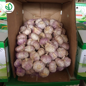 Ajo Rojo Orgánico Fresco de China, Marca Fenduni, 10 kg/caja - Product Image 5