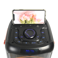   Haut-parleur Bluetooth TWS portable professionnel double 6,5 pouces avec subwoofer pour DJ et karaoké (modèles 1000, 300, 310, 200, 100)