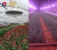Lampe LED E27 15W IP54 à spectre complet blanc chaud pour plantes, idéale pour la culture hors-saison des fruits du dragon, des fleurs d'Urge et des chrysanthèmes, et pour l'éclairage de jujubes