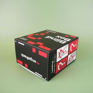 Cajas Misteriosas Personalizadas con Productos Electrónicos para Pequeñas Empresas, Suscripción Mensual, Caja Aleatoria - Product Image 4