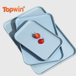 PP Square <b>Plastic</b> Serving <b>Tray</b> Fruit Plate Commercial Hotel Restaurant Party Use Food Grade BPA Free Durable Eco-Friendly - Product Image 1