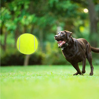 Balle de tennis rebondissante durable pour chien à bas prix, jouet interactif d'entraînement pour animaux de compagnie, jouet personnalisé imprimé pour animaux de compagnie en gros