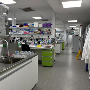 ผงจินเซนโนไซด์คุณภาพสูงขายส่ง ผงจินเซนโนไซด์ <span class=keywords><strong>Rh2</strong></span> ความเข้มข้น 10%-98% - Product Image 5