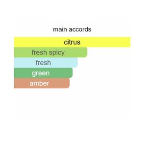 น้ำหอมโคโลญจน์จากสหรัฐอเมริกา จัดส่ง 2-7 วัน พร้อมใบเสร็จ กลิ่นติดทนนาน EDT/EDP/Intense Spray - Product Image 6