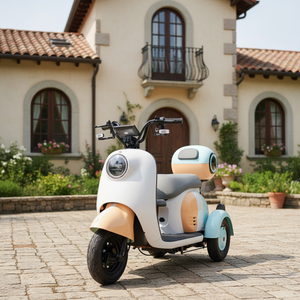 Vélo électrique compact à 3 roues avec rangement, tricycle électrique facile à conduire pour les courses quotidiennes et les trajets domicile-travail, plusieurs options de couleurs - Product Image 2