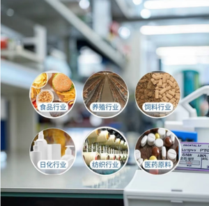 "China CMC Fabricante | Oilfield & Paper Coating Proveedor" - Product Image 4