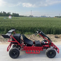 Karting électrique tout-terrain deux places personnalisé OEM, 4 roues, avec suspension indépendante, pour location