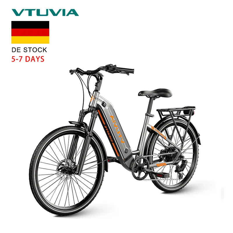 DE Warehouse Stock 2023新しい250w500wリチウム電池トルクセンサーハブモーター2セット電動シティバイク自転車Ebike