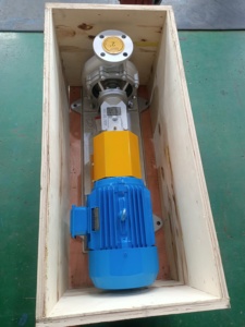 Pompe à huile chaude centrifuge résistante aux hautes températures pour 350 degrés - Product Image 6