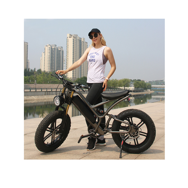 Factory 48v  750w E-bike 20 Inch Electric Bike Adult 45km/h Fat Tire Snow Bike Mountain Ebike 17.5Ah PAS System Fast Speed