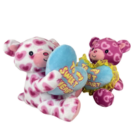 Venta al por mayor encantador oso de peluche lindo regalo del Día de San Valentín para mujeres niñas técnica de alivio del estrés lavado