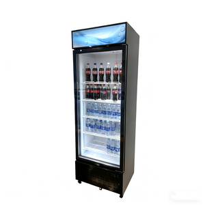 Offre Spéciale refroidisseur de boissons affichage électrique congélateur verre porte unique <span class=keywords><strong>300</strong></span> <span class=keywords><strong>litres</strong></span> vitrine réfrigérateur - Product Image 1