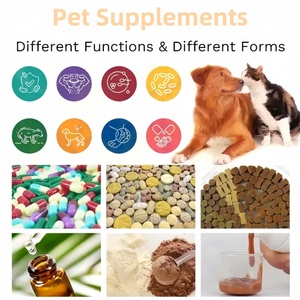 Oem/ODM dịch vụ hỗ trợ sức khỏe tiêu hóa và ruột chức năng sản phẩm vật nuôi chăm sóc sức khỏe vật nuôi & bổ sung cho tất cả các giống - Product Image 6