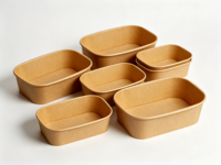 Assiette rectangulaire robuste en canne à sucre compostable, biodégradable, jetable, écologique, résistante à la chaleur et compatible micro-ondes pour les fêtes et la restauration