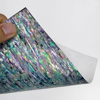 Coquille d'ormeau de Nouvelle-Zélande flexible, rectangulaire, multicolore, incurvée, incrustée, bricolage, décoration de mariage, décoration de la maison