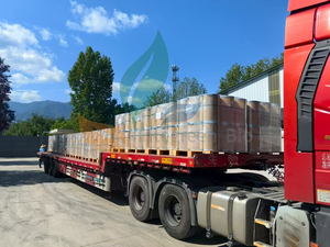 للبيع بالجملة مستخلصات أوراق المورينغا العضوية السائبة بودرة المورينغا En Poudre Polvo 1 السعر مسحوق المورينغا الطبيعي النقي - Product Image 6