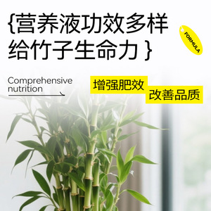 Soluzione Nutritiva a Iniezione Diretta Specifica per Bambù, Regola la Crescita delle Piante e Mantiene la Lucentezza delle Foglie - Product Image 4