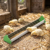 Mangeoire en plastique 141 Crown pour volailles avec grille de protection, pour poulets, pigeons et oiseaux, fabriquée à Taïwan