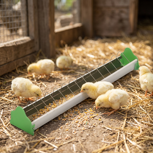 141 Crown Plastic Poultry Feeding Trough with Wire Guard Chicken <b>Feeder</b> for Chickens, <b>Pigeons</b> & Birds Made in Taiwan - Product Image 2
