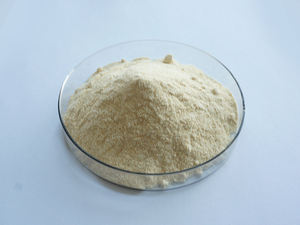 Soy Source Phospholipid Phosphatidylserine แป้ง - Product Image 2